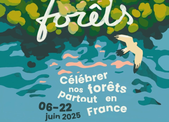 actualites-84